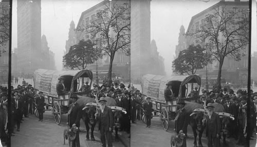 Ezra Meeker and his ox team. New York City, N.Y. [photographer: Angel, 1907 (EWE 6/1988)]