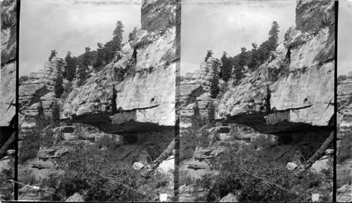 Cliff Dwelling in the Transept near Bright Angel Point. Ariz