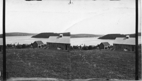 Looking North From Westfield N.B., St. John River