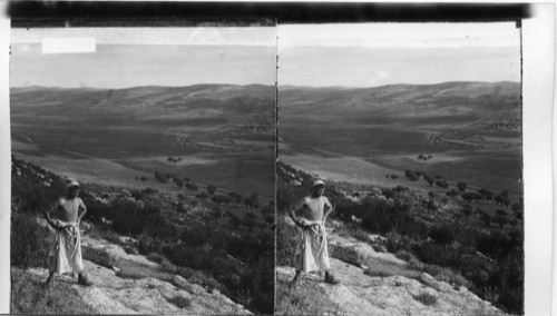 Scene of the slaying of Goliath in the Valley of Elah. Palestine