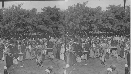 Ali Kaka dancers, Zakazik, Egypt