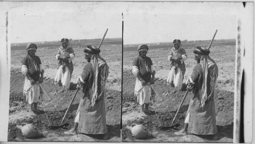 True Natives in a Primitive Method of Tilling the Soil, Mesopotamia