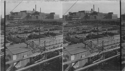 Looking East to the Fort Worth Stockyards and Swift Packing House, Fort Worth. Texas