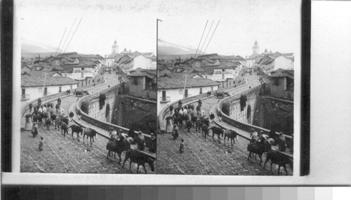 Maldonado St., where mule trains from Guayaquil enter Quito, S. Domingo Church on right. Ecuador