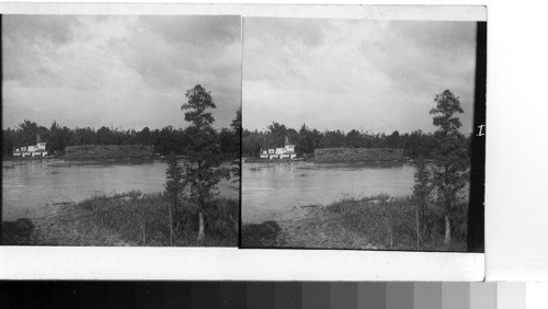 A tug and its barge full of pulp wood going down the Cape Fear River on way to the Southern Pulp Mills, Wilmington, N. C., 1952