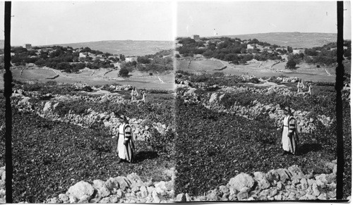 Bethel from the South (El-Bireh) Palestine