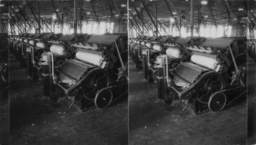 Carding machine showing "card's sliver", the fine long roll of cotton coming out of machine, which is the fine web rolled, C.R. Miller Mfg. Co. Dallas, Texas