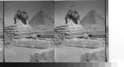 Dignity is one of the features of the massive Sphinx, Giza, Egypt