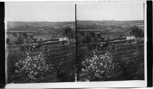 Valley of Rephean, Old Hebrew Battleground. Judea