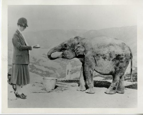 Morgan, Julia with Marianne the elephant, San Simeon