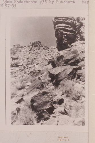 Route believed by Harvey Butchart to be the one used by Stanton-Hislop-Kane on 1890, Feb. 10, in climbing to the Tonto en route to the shoulder of the Tower of Ra