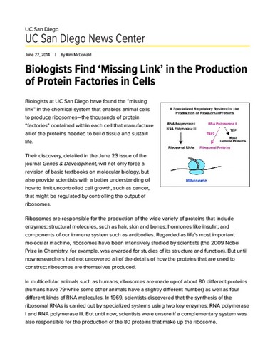 Biologists Find ‘Missing Link’ in the Production of Protein Factories in Cells