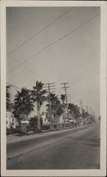 Main Street before the palm trees were removed, Petaluma, California, 1926