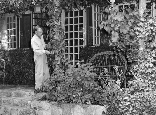 Harry Lamson trims ivy on vine-covered porch in Tujunga