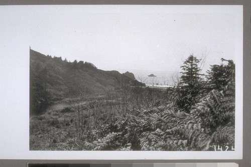 A'men Lake (Wilson Creek, north of Requa) cf 144