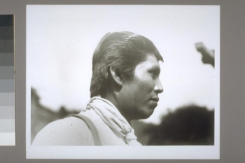 Robert Frank (194), profile