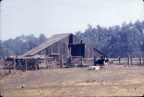 McFadden barn