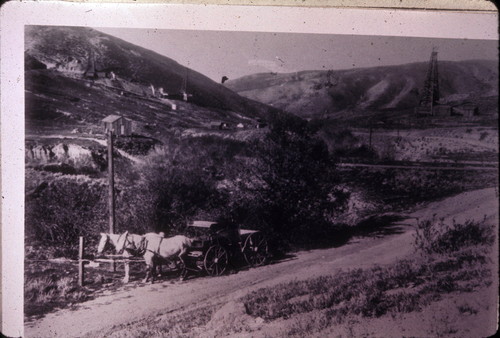 Brea Canyon, gathering "brea" for fuel