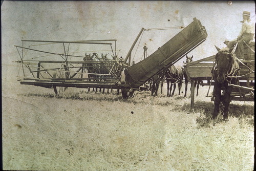 Hay harvesting crew