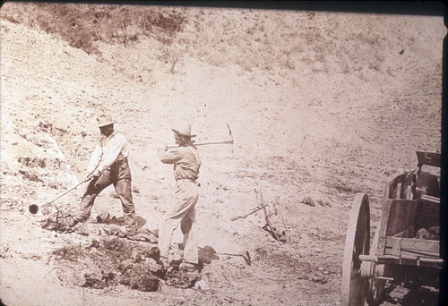 Digging brea in Brea Canyon for fuel