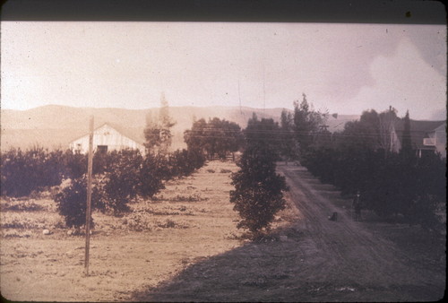 Launer home, taken from Central Ave. & Main St., 1905?