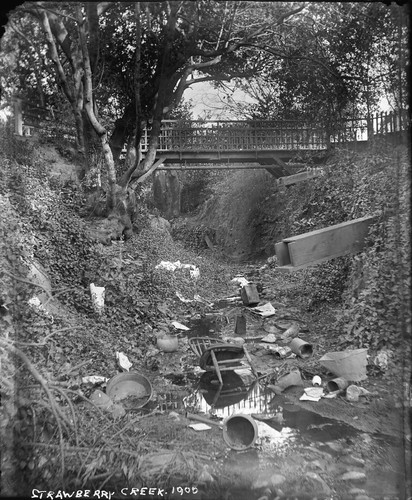"Strawberry Creek, 1900," University of California at Berkeley. [negative]