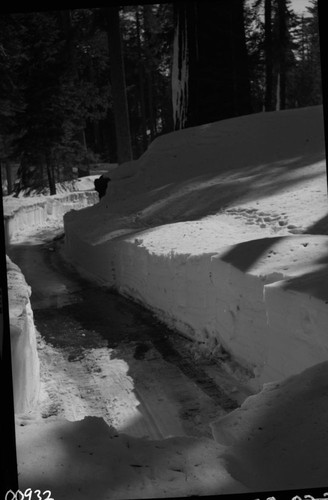 Record Heavy Snows, Grant Tree Trail with 5 to 7 foot high snow banks