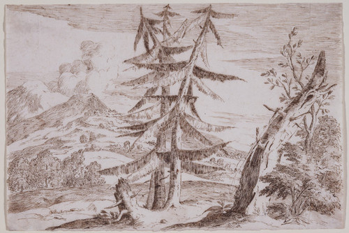 Mountain Landscape