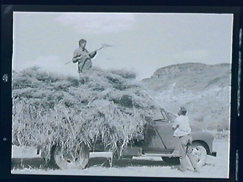 Gunlock, Henry Bowler Haying, "Hard Work Ain't Easy"