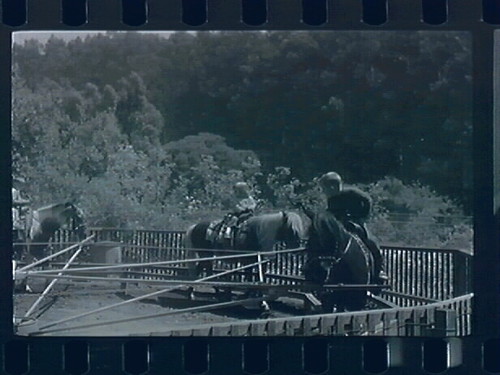 Lesly and Juego at Tilden - The Pony Ride