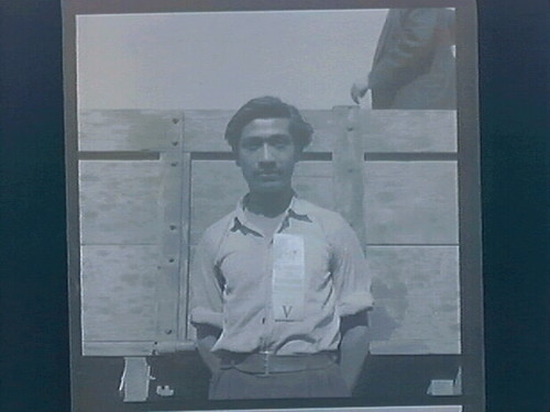 First Braceros