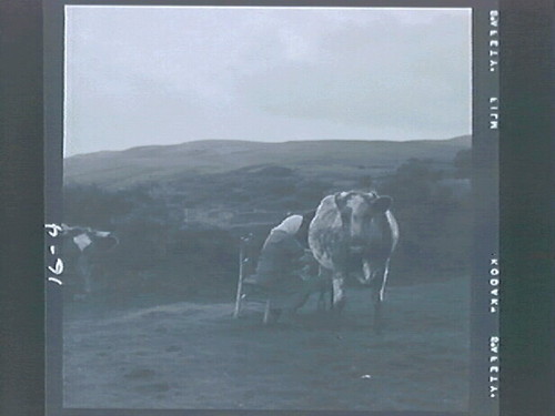 Hallorans (out in fields)