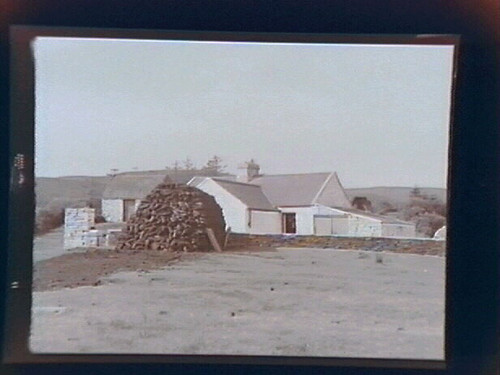 Hallorans (house)
