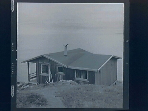 1.) Cabin at Steep Ravine 2.) Tree