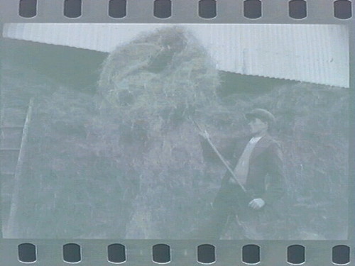 Hollorans (family in fields)