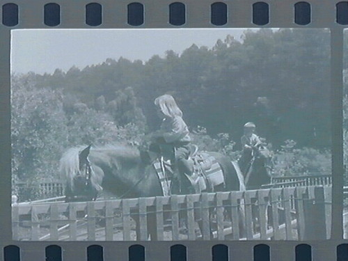 Lesly and Juego at Tilden - The Pony Ride