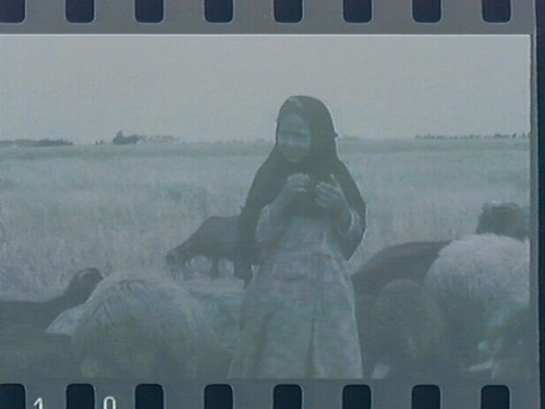 Women Carrying Jugs