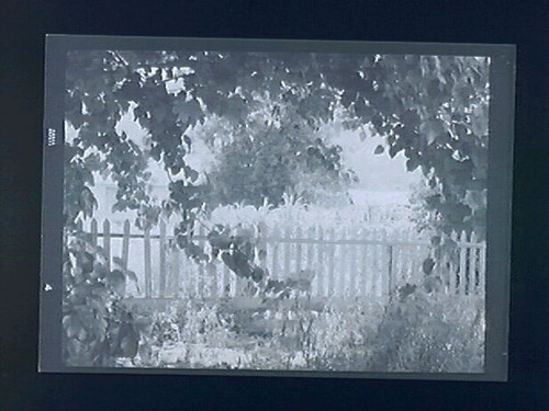 Toquerville Lineup of houses (garden detail from Naegle's)