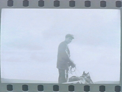 Hollorans (family in fields)