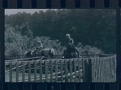 Lesly and Juego at Tilden - The Pony Ride