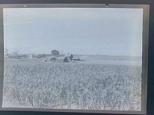 Iowa Barns & Farms