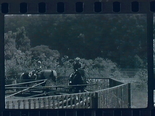 Lesly and Juego at Tilden - The Pony Ride