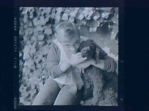 Family Photographs, Untitled