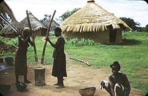 Women mashing maize, Tibati
