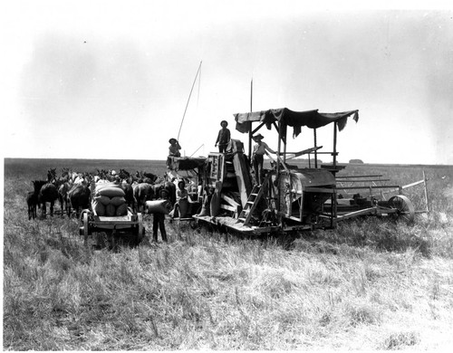 Loading Sacks of Grain