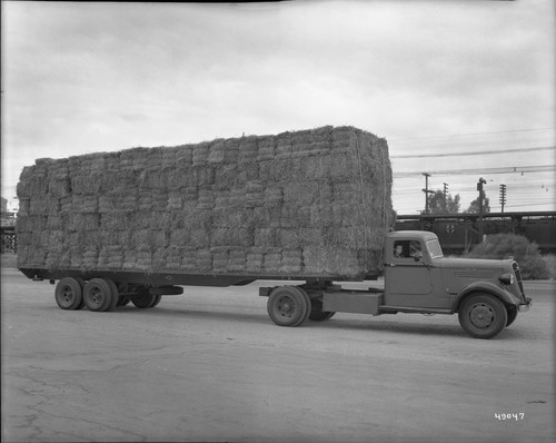 Studebaker Truck and Trailer hauling a load of hay