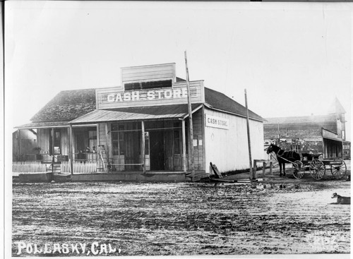 Horse drawn Wagon and Dog outside of Pollasky Cash Store