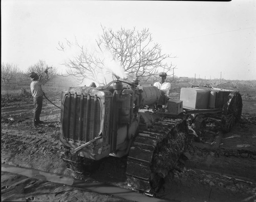 Tractor and Trailer Spraying Fig Trees