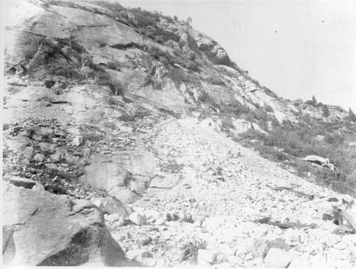 Balch Camp; slope below forebay