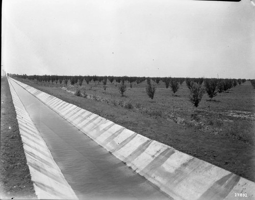 Plum Orchard and Canal